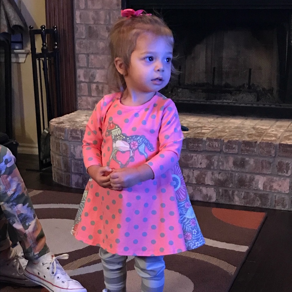 Ricrac & Ruffles Horse and Floral pant set